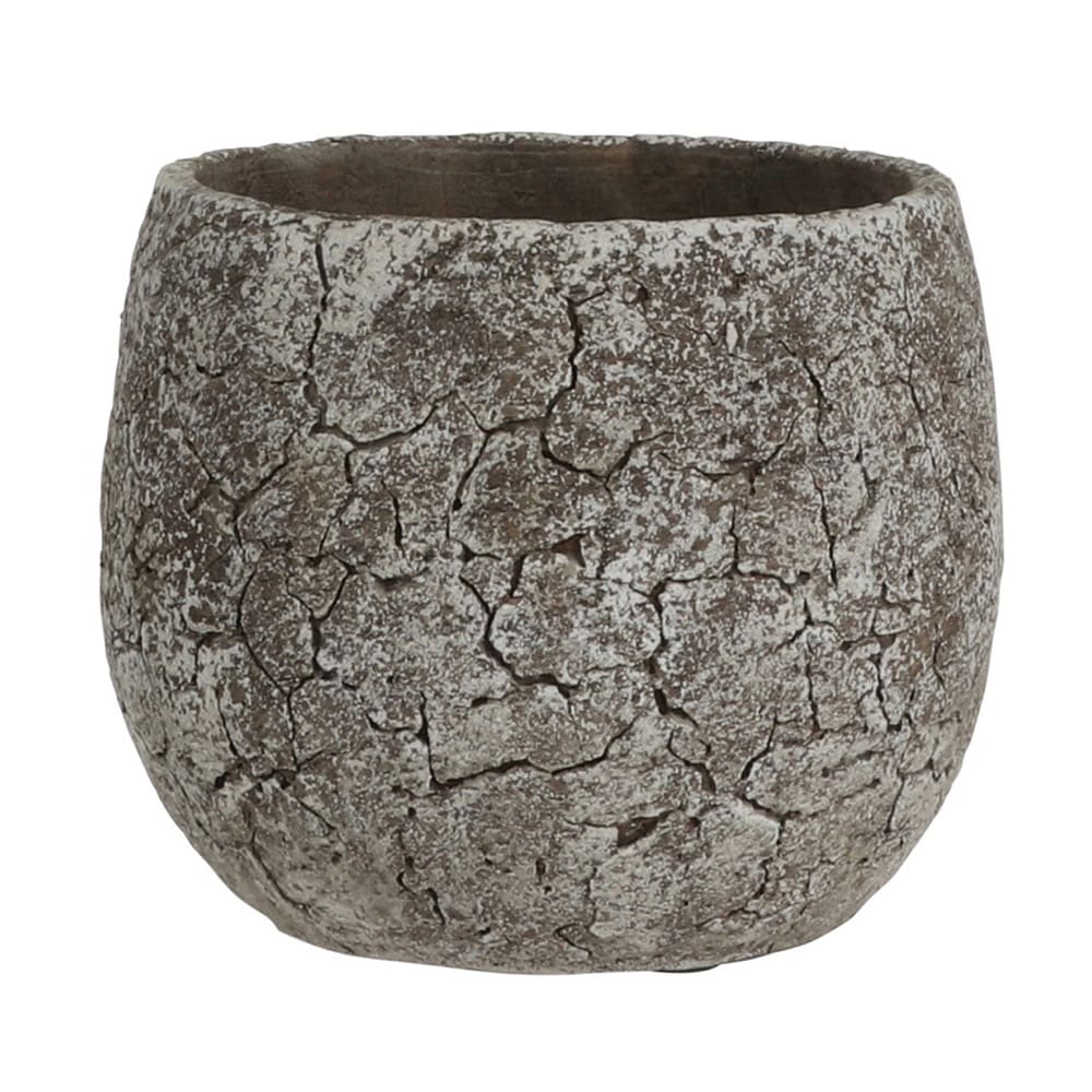 Nog steeds milieu Volwassenheid Medium Thomas Round Cement Pot by Edelman - Seven Colonial