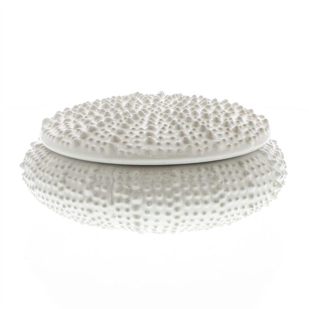 Large White Ceramic Urchin Box by HomArt