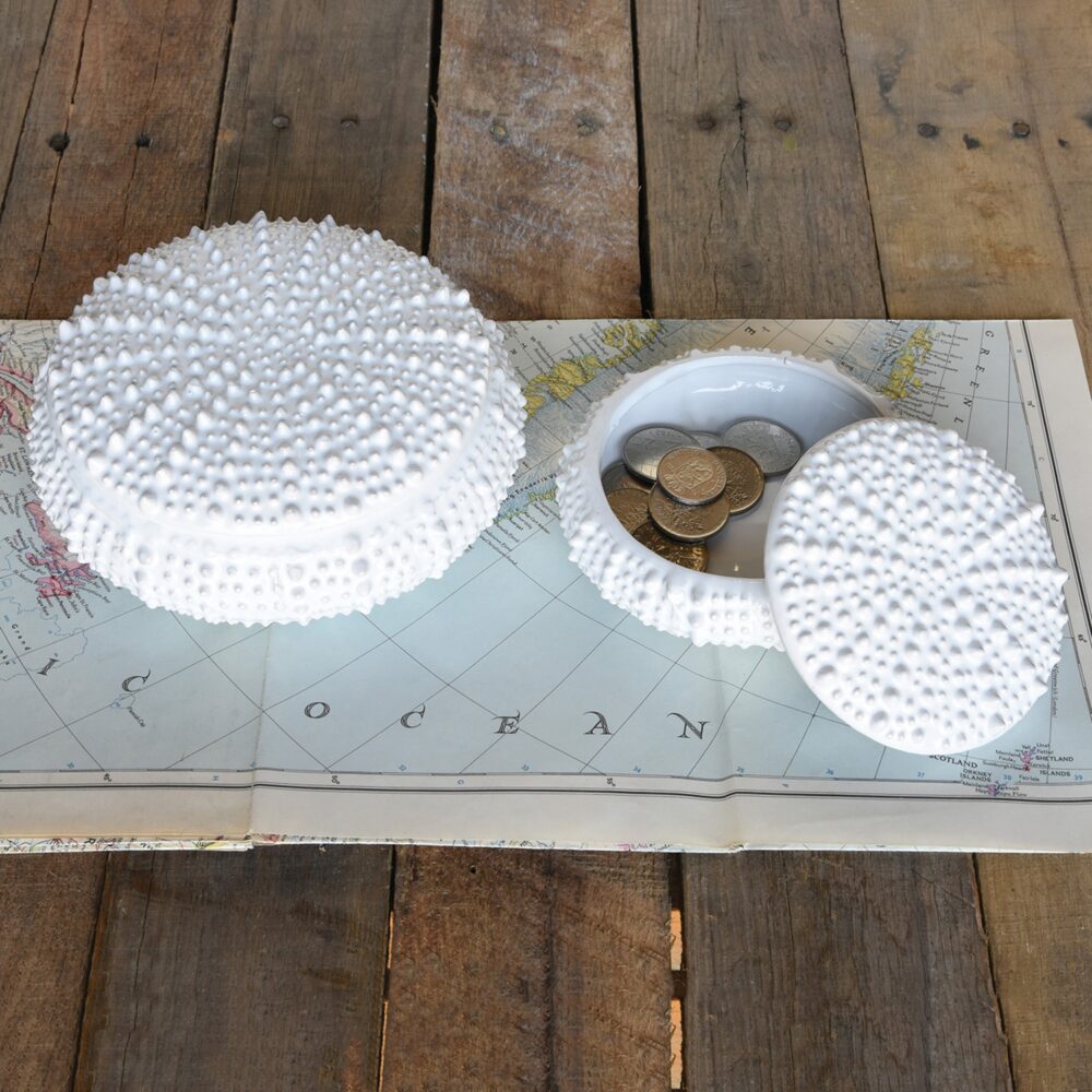 Large White Ceramic Urchin Box by HomArt - Image 3