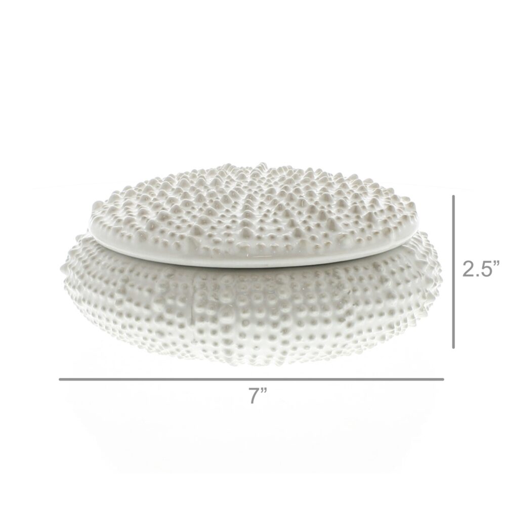 Large White Ceramic Urchin Box by HomArt - Image 5